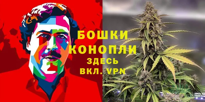 МАРИХУАНА LSD WEED  наркошоп  Тверь 